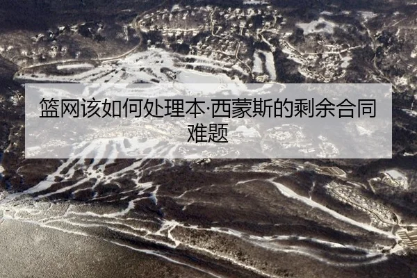lan-wang-gai-ru-he-chu-li-ben-xi-meng-si-de-sheng-yu-he-tong-nan-ti-2-137.jpg